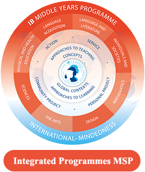 IB-MSP Programme